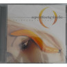 A PERFECT CIRCLE – thirteenth step