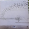GENESIS -  Wind & Wuthering
